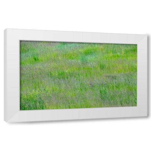 USA-Washington State-Palouse-Eastern Washington Green grass field White Modern Wood Framed Art Print by Gulin, Sylvia