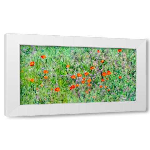 USA-Washington State-Palouse and field of red poppies White Modern Wood Framed Art Print by Gulin, Sylvia