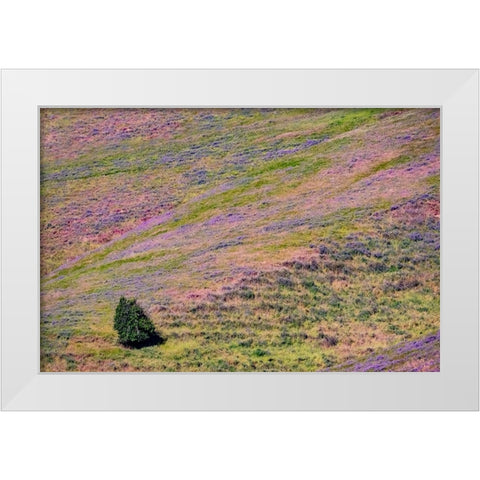 USA-Washington State-Palouse with hillside of vetch White Modern Wood Framed Art Print by Gulin, Sylvia