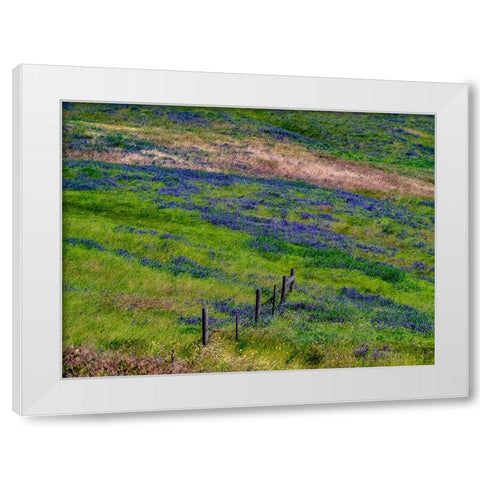 USA-Washington State-Palouse with hillside of vetch White Modern Wood Framed Art Print by Gulin, Sylvia