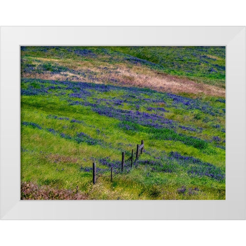 USA-Washington State-Palouse with hillside of vetch White Modern Wood Framed Art Print by Gulin, Sylvia