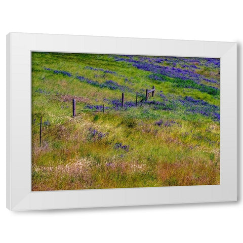 USA-Washington State-Palouse with hillside of vetch White Modern Wood Framed Art Print by Gulin, Sylvia