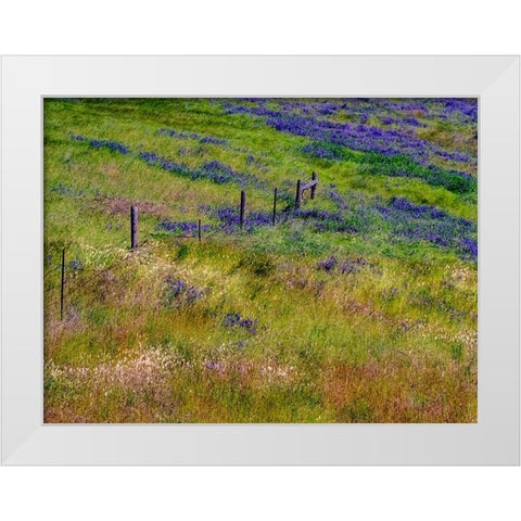 USA-Washington State-Palouse with hillside of vetch White Modern Wood Framed Art Print by Gulin, Sylvia
