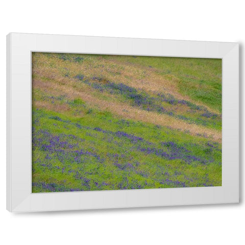 USA-Washington State-Palouse with hillside of vetch White Modern Wood Framed Art Print by Gulin, Sylvia