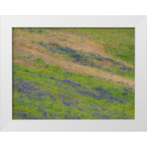 USA-Washington State-Palouse with hillside of vetch White Modern Wood Framed Art Print by Gulin, Sylvia