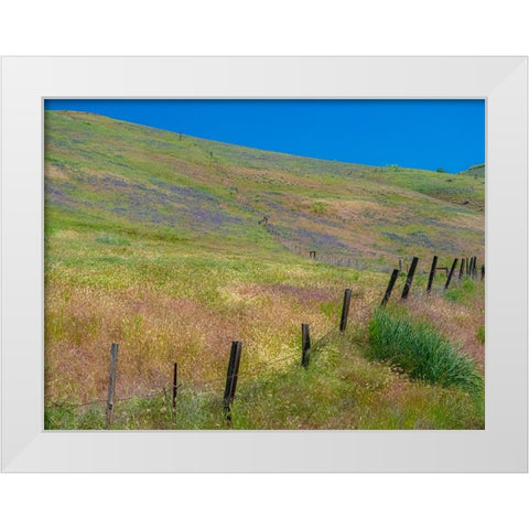 USA-Washington State-Palouse with hillside of vetch White Modern Wood Framed Art Print by Gulin, Sylvia