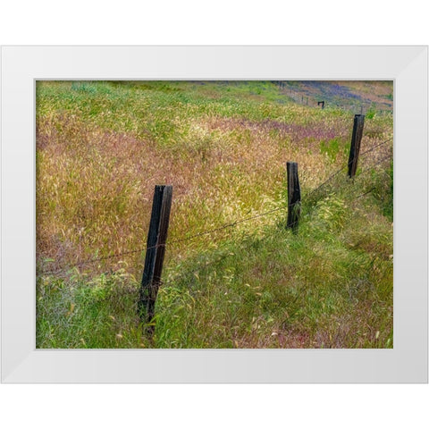 USA-Washington State-Palouse with wooden fence posts in grass field White Modern Wood Framed Art Print by Gulin, Sylvia