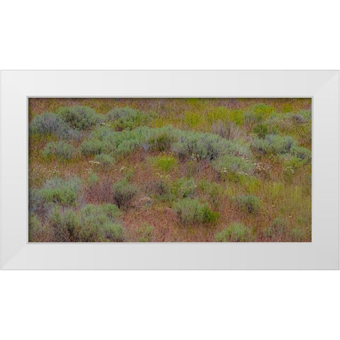 USA-Washington State-Palouse-Colfax and field of sagebrush White Modern Wood Framed Art Print by Gulin, Sylvia