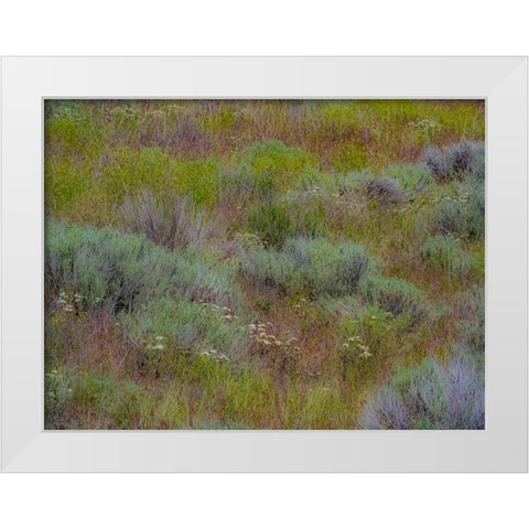 USA-Washington State-Palouse-Colfax and field of sagebrush White Modern Wood Framed Art Print by Gulin, Sylvia