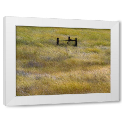 USA-Washington State-Palouse with wooden fence posts in grass field White Modern Wood Framed Art Print by Gulin, Sylvia