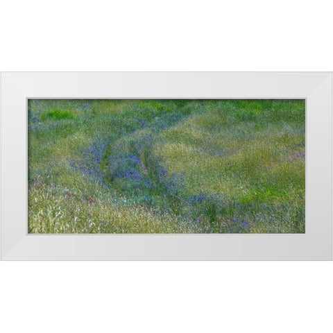 USA-Washington State-Benge Purple vetch in field White Modern Wood Framed Art Print by Gulin, Sylvia