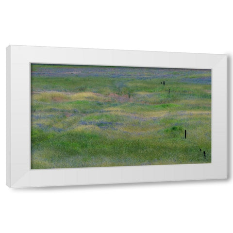 USA-Washington State-Benge Purple vetch in field White Modern Wood Framed Art Print by Gulin, Sylvia
