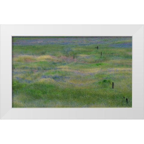 USA-Washington State-Benge Purple vetch in field White Modern Wood Framed Art Print by Gulin, Sylvia