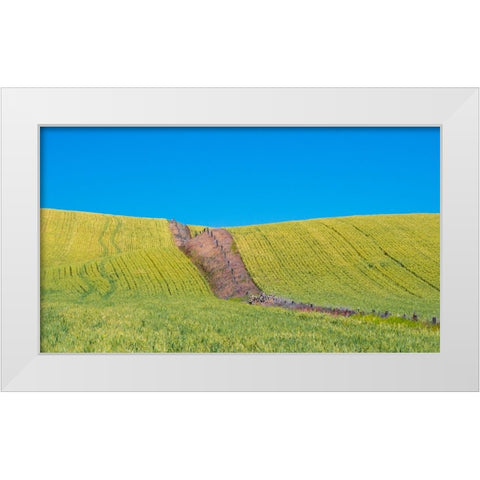 USA-Washington State-Winona winter wheat with fence line running through middle of field White Modern Wood Framed Art Print by Gulin, Sylvia