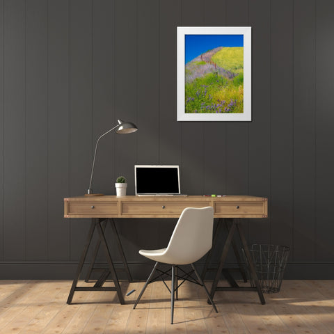 USA-Washington State-Winona winter wheat with fence line and foreground of vetch White Modern Wood Framed Art Print by Gulin, Sylvia