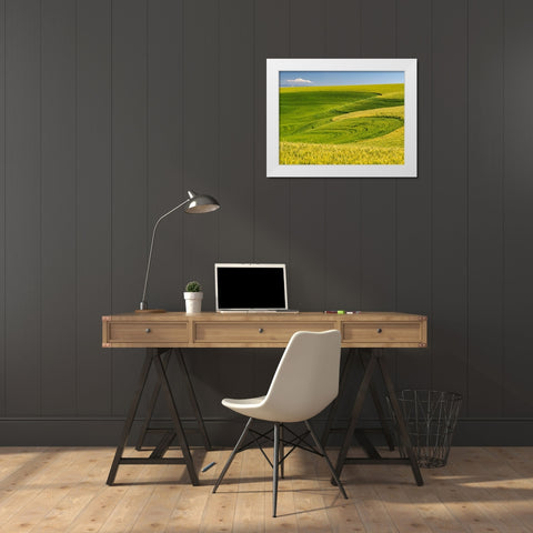 USA-Washington State-Palouse canola field with near Colfax White Modern Wood Framed Art Print by Gulin, Sylvia