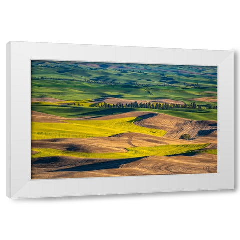 USA-Washington State-Palouse and Steptoe Butte State Park view of Wheat and Canola White Modern Wood Framed Art Print by Gulin, Sylvia