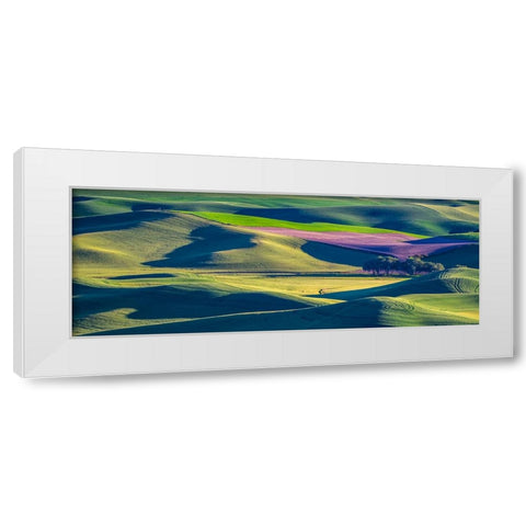 USA-Washington State-Palouse and Steptoe Butte State Park view of Wheat and Canola White Modern Wood Framed Art Print by Gulin, Sylvia