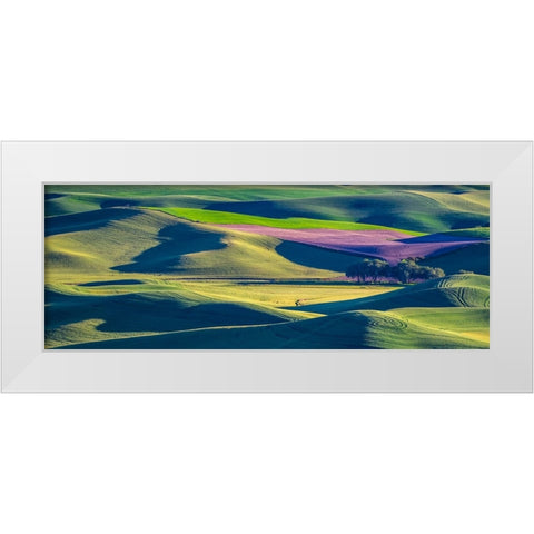 USA-Washington State-Palouse and Steptoe Butte State Park view of Wheat and Canola White Modern Wood Framed Art Print by Gulin, Sylvia
