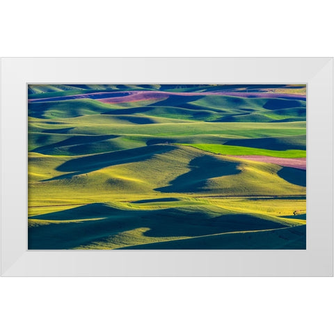 USA-Washington State-Palouse and Steptoe Butte State Park view of Wheat and Canola White Modern Wood Framed Art Print by Gulin, Sylvia