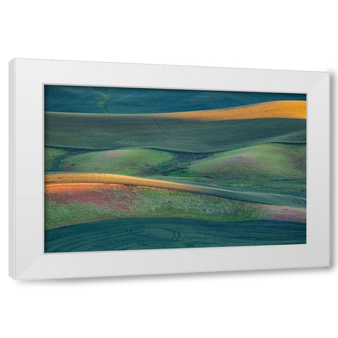 USA-Washington State-Palouse and Steptoe Butte State Park view of Wheat fields last light White Modern Wood Framed Art Print by Gulin, Sylvia