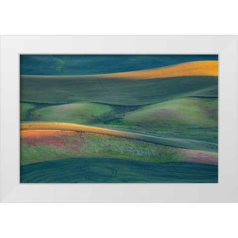 USA-Washington State-Palouse and Steptoe Butte State Park view of Wheat fields last light White Modern Wood Framed Art Print by Gulin, Sylvia
