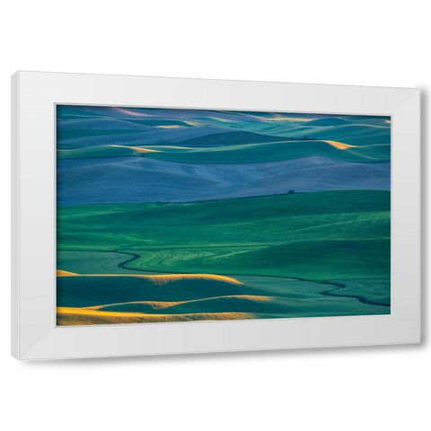 USA-Washington State-Palouse and Steptoe Butte State Park view of Wheat fields last light White Modern Wood Framed Art Print by Gulin, Sylvia