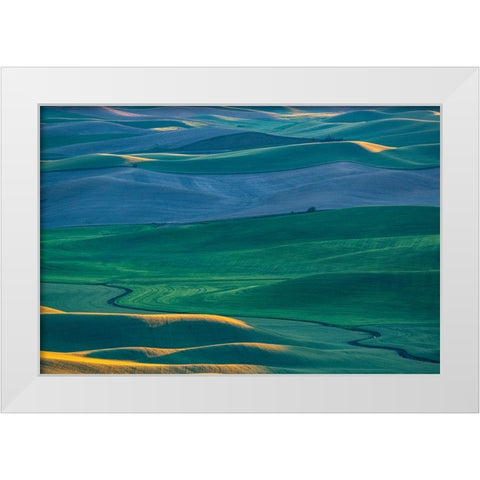 USA-Washington State-Palouse and Steptoe Butte State Park view of Wheat fields last light White Modern Wood Framed Art Print by Gulin, Sylvia