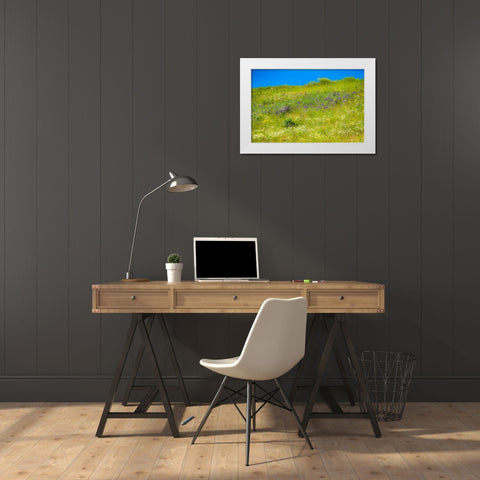USA-Washington State-Palouse grass fields that were not being farmed White Modern Wood Framed Art Print by Gulin, Sylvia