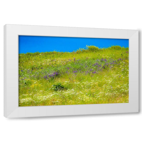 USA-Washington State-Palouse grass fields that were not being farmed White Modern Wood Framed Art Print by Gulin, Sylvia