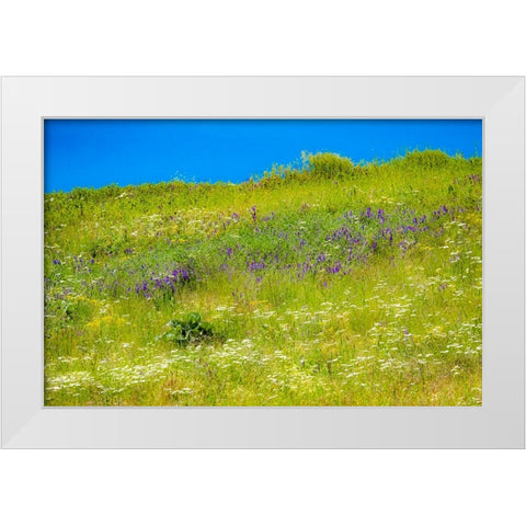 USA-Washington State-Palouse grass fields that were not being farmed White Modern Wood Framed Art Print by Gulin, Sylvia