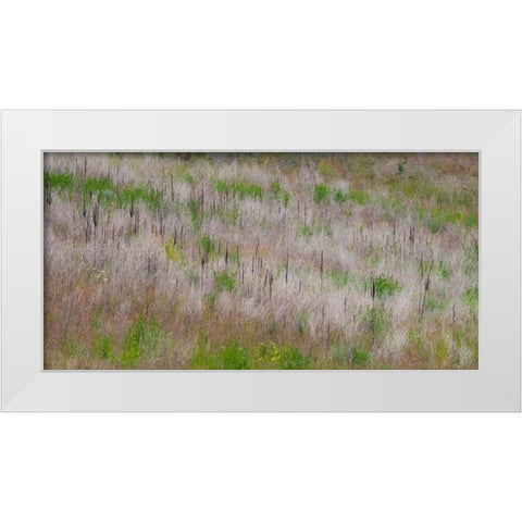 USA-Washington State-Palouse grass fields that were not being farmed White Modern Wood Framed Art Print by Gulin, Sylvia