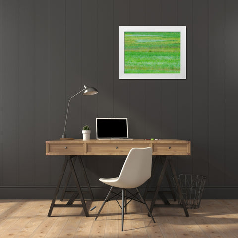 USA-Washington State-Palouse grass fields that were not being farmed White Modern Wood Framed Art Print by Gulin, Sylvia