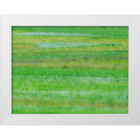 USA-Washington State-Palouse grass fields that were not being farmed White Modern Wood Framed Art Print by Gulin, Sylvia