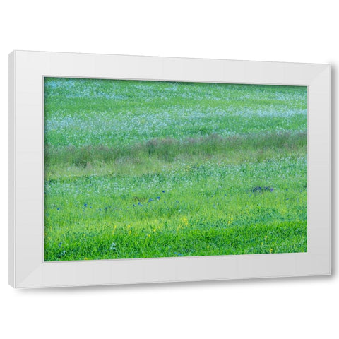 USA-Washington State-Palouse grass fields that were not being farmed White Modern Wood Framed Art Print by Gulin, Sylvia
