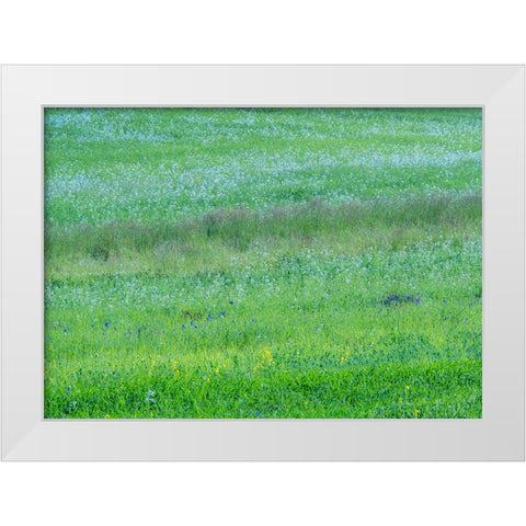USA-Washington State-Palouse grass fields that were not being farmed White Modern Wood Framed Art Print by Gulin, Sylvia