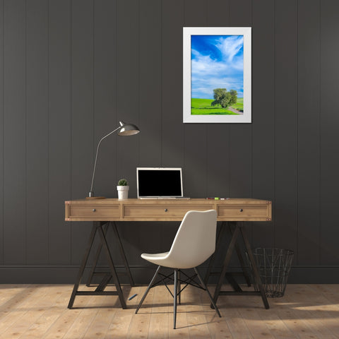 USA-Washington State-Palouse with wheat fields and lone Cottonwood tree White Modern Wood Framed Art Print by Gulin, Sylvia