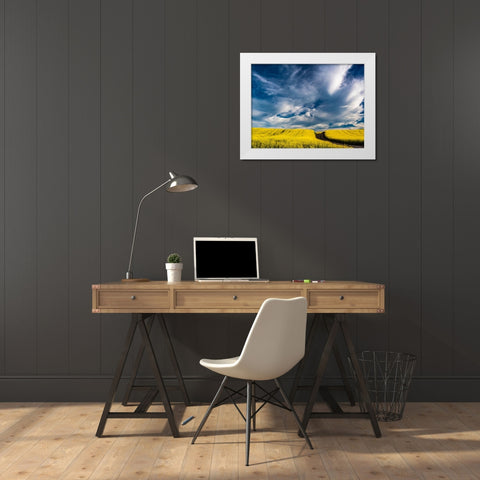 USA-Washington State-Palouse canola fields in yellow with dirt road White Modern Wood Framed Art Print by Gulin, Sylvia
