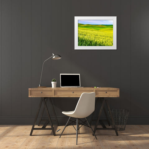 USA-Washington State-Palouse overview of wheat fields from above White Modern Wood Framed Art Print by Gulin, Sylvia