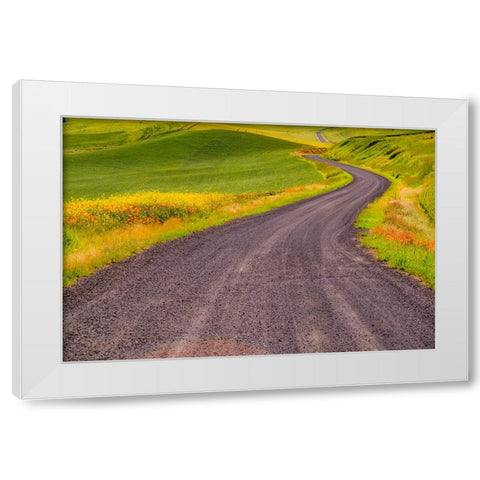 USA-Washington State-Palouse with gravel curved road edged with Poppies and Yellow Canola White Modern Wood Framed Art Print by Gulin, Sylvia