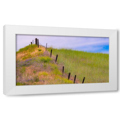 USA-Washington State-Palouse fence line near Winona with vetch and grasses White Modern Wood Framed Art Print by Gulin, Sylvia