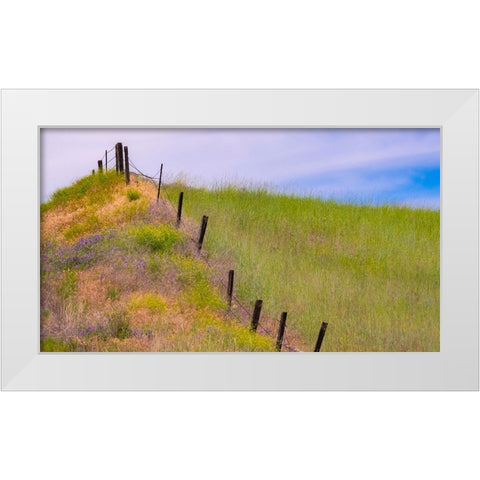 USA-Washington State-Palouse fence line near Winona with vetch and grasses White Modern Wood Framed Art Print by Gulin, Sylvia