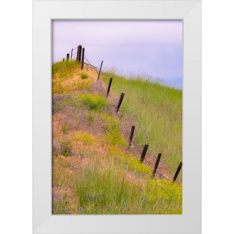 USA-Washington State-Palouse fence line near Winona with vetch and grasses White Modern Wood Framed Art Print by Gulin, Sylvia