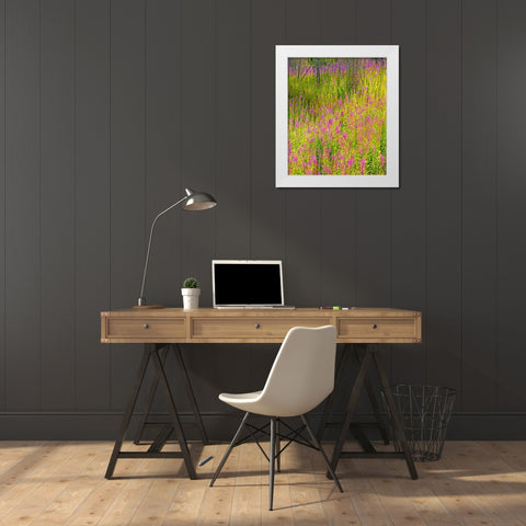 USA-Washington State-burnt forest and fire weed along Lake Cle Elum Washington Cascades White Modern Wood Framed Art Print by Gulin, Sylvia