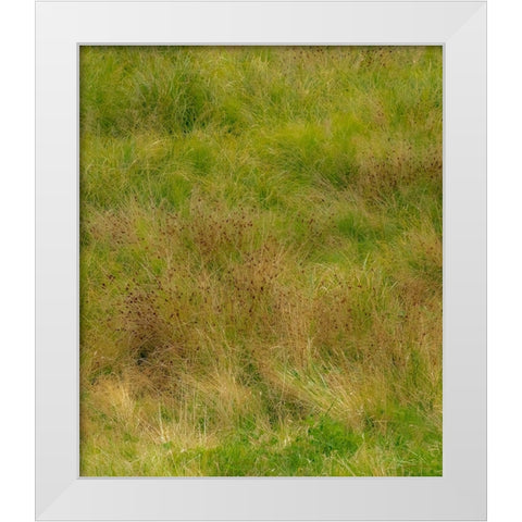 USA-Washington State-Issaquah and grassy field White Modern Wood Framed Art Print by Gulin, Sylvia