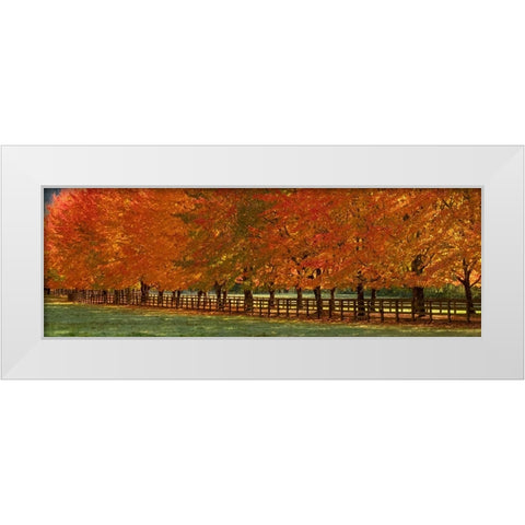 USA-Washington State-North Bend fence and tree lined driveway in fall colors White Modern Wood Framed Art Print by Gulin, Sylvia