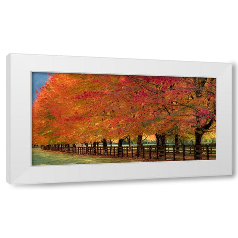 USA-Washington State-North Bend fence and tree lined driveway in fall colors White Modern Wood Framed Art Print by Gulin, Sylvia