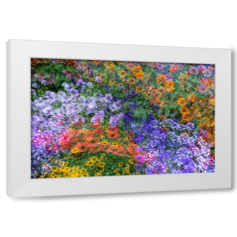 USA-Washington State-Pacific Northwest-Sammamish colorful flowers and blue picket fence White Modern Wood Framed Art Print by Gulin, Sylvia