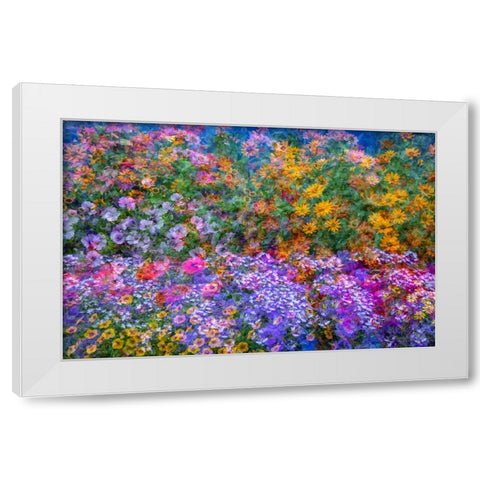 USA-Washington State-Pacific Northwest-Sammamish colorful flowers and blue picket fence White Modern Wood Framed Art Print by Gulin, Sylvia