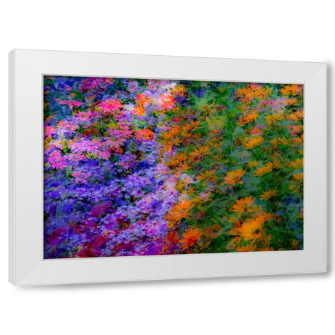 USA-Washington State-Pacific Northwest-Sammamish colorful flowers and blue picket fence White Modern Wood Framed Art Print by Gulin, Sylvia